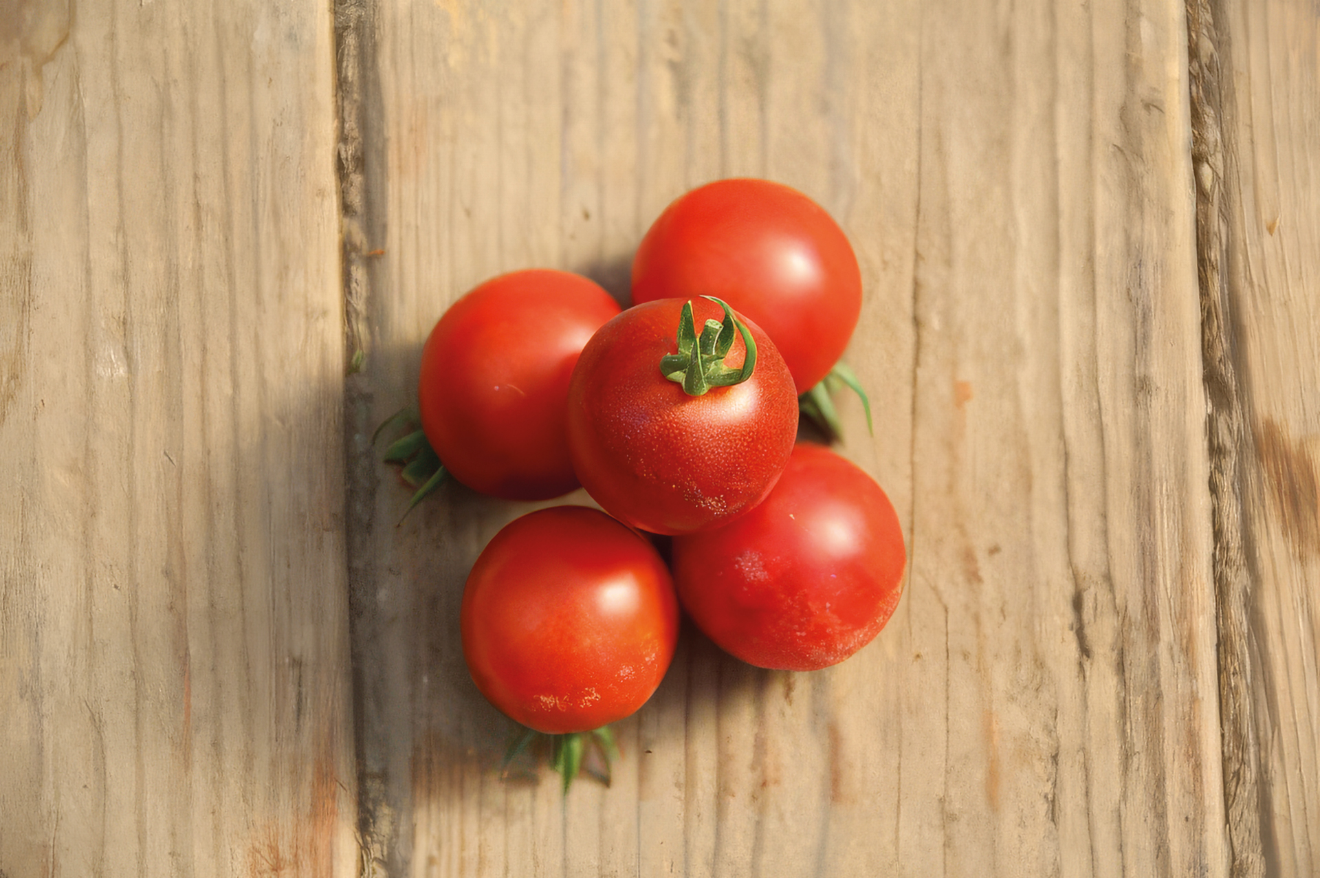 Cocktailtomate Dunkle Kirschtomate