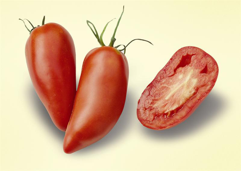 Zwei rote Pflaumentomaten mit Stiel und eine längs halbierte Pflaumentomate, saftiges Fruchtfleisch sichtbar, heller Hintergrund
