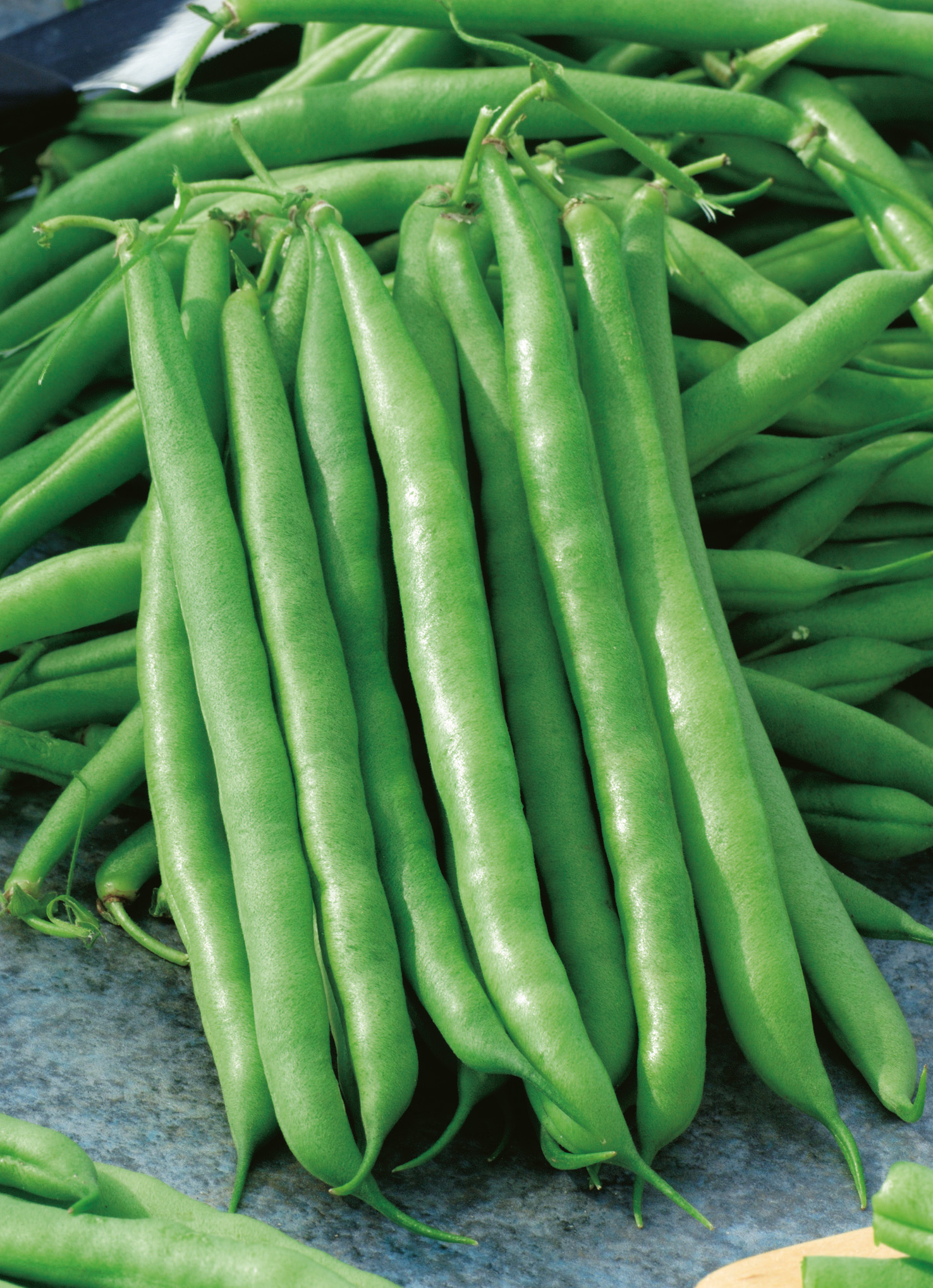 Nahaufnahme frischer grüner Stangenbohnen auf blauem Untergrund