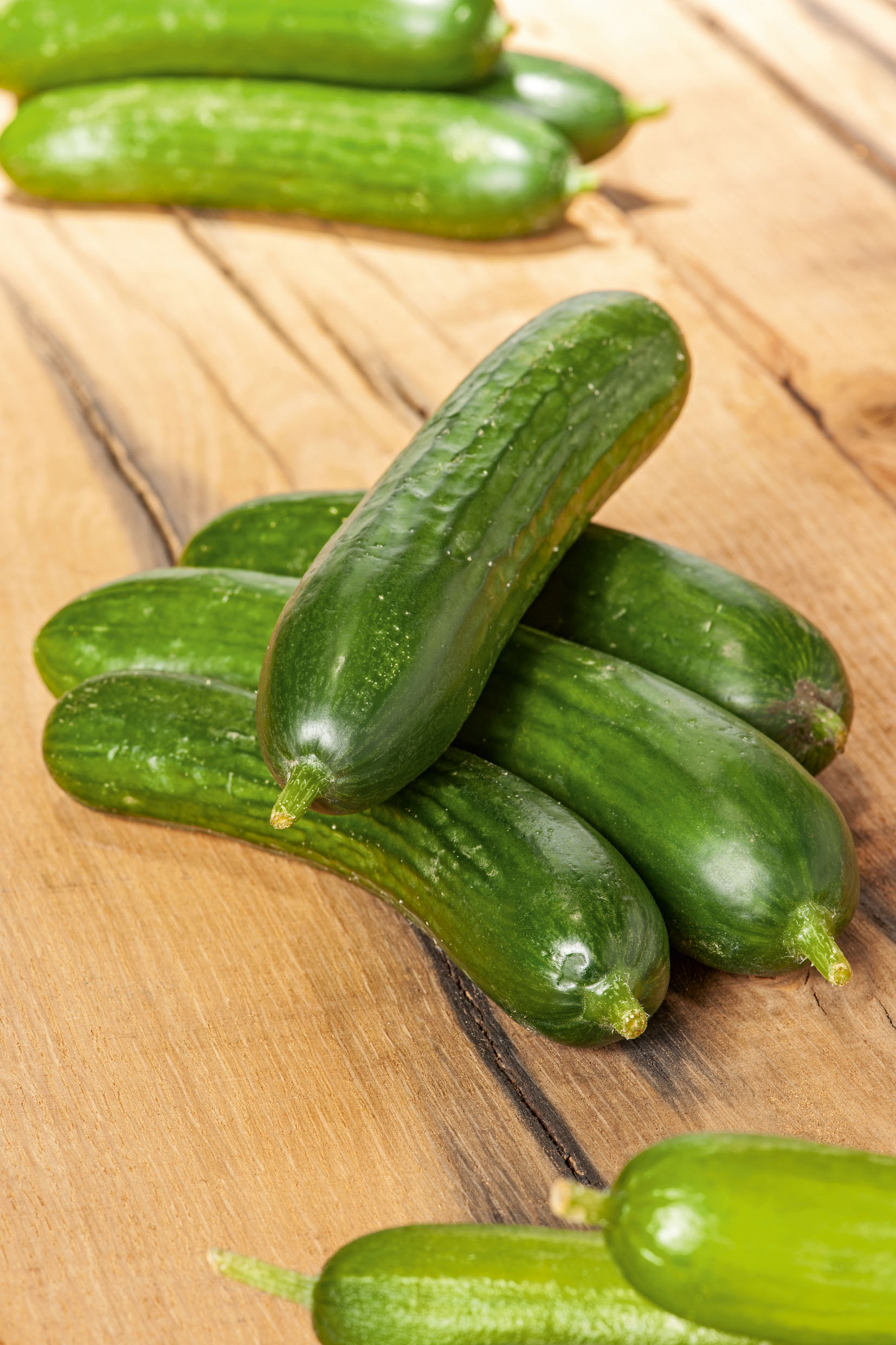 Salatgurke Adrian F1