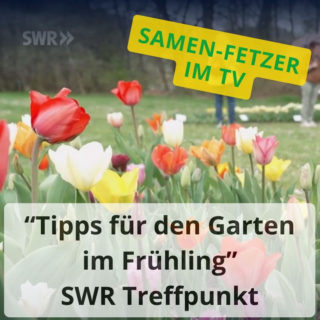 SWR-Treffpunkt Tipps für den Garten im Frühling