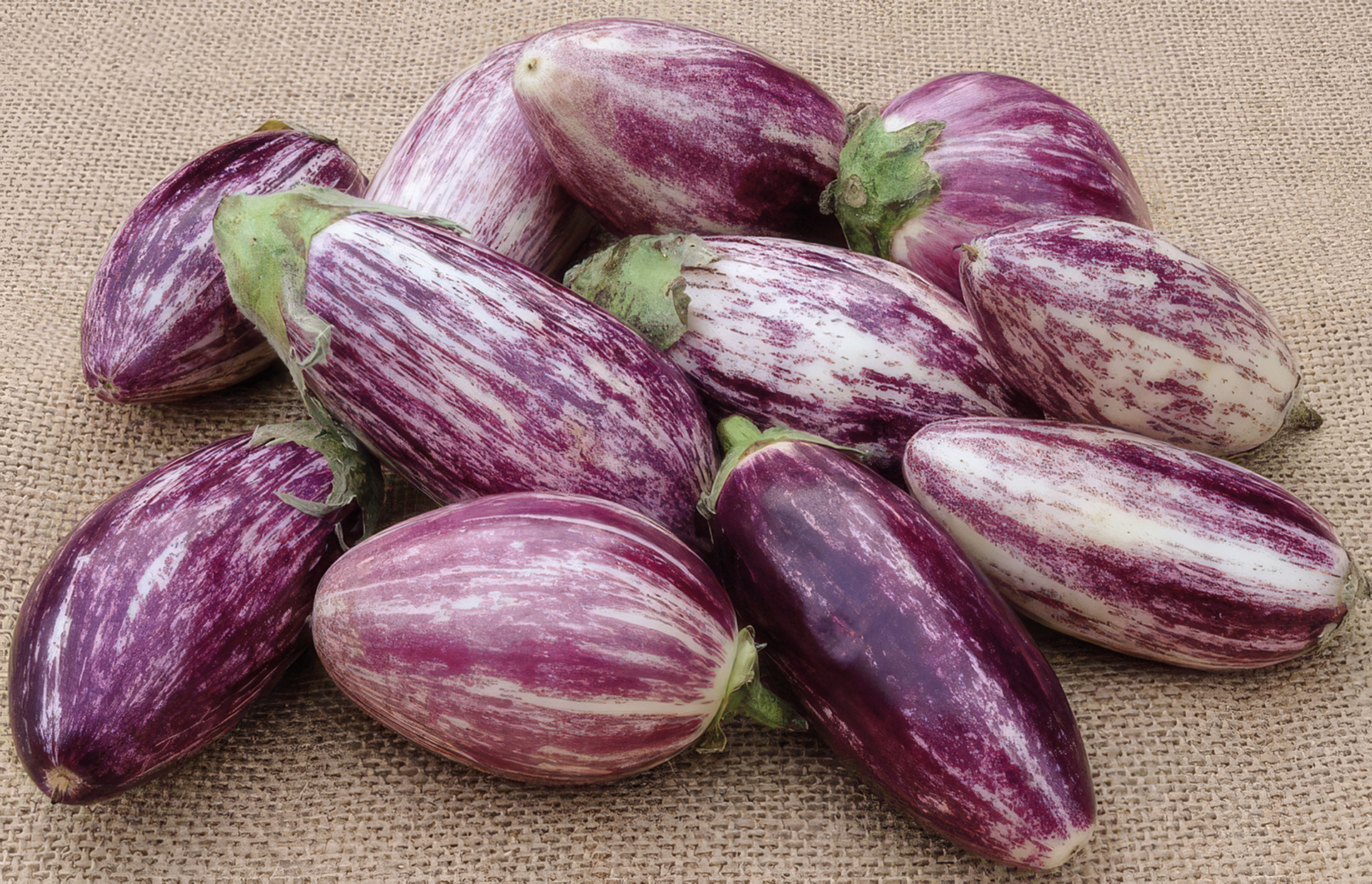 Gestreifte Aubergine Tsakoniki