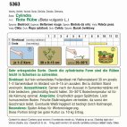 Screenshot eines Windows-ähnlichen Programmfensters in deutscher Sprache mit Menüleiste, einer Dateiliste links, Detailansicht und Optionen zur Datensicherung rechts; zeigt Auswahlfelder, Buttons und Statusinformationen.