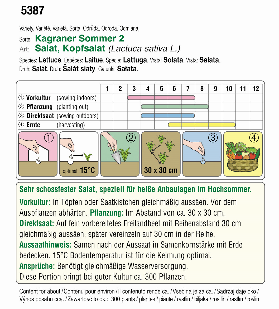 Saatgutverpackung Kopfsalat Bio Kagraner Sommer 2 mit Aussaat- und Erntekalender, schossfester Salat für heiße Anbaulagen im Hochsommer