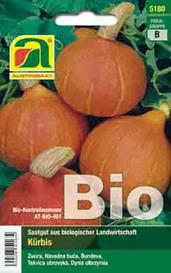 Verpackung eines Bio-Kürbis-Saatguts mit Abbildung mehrerer runder orangefarbener Kürbisse, grünem Hintergrund und großem Schriftzug "Bio"