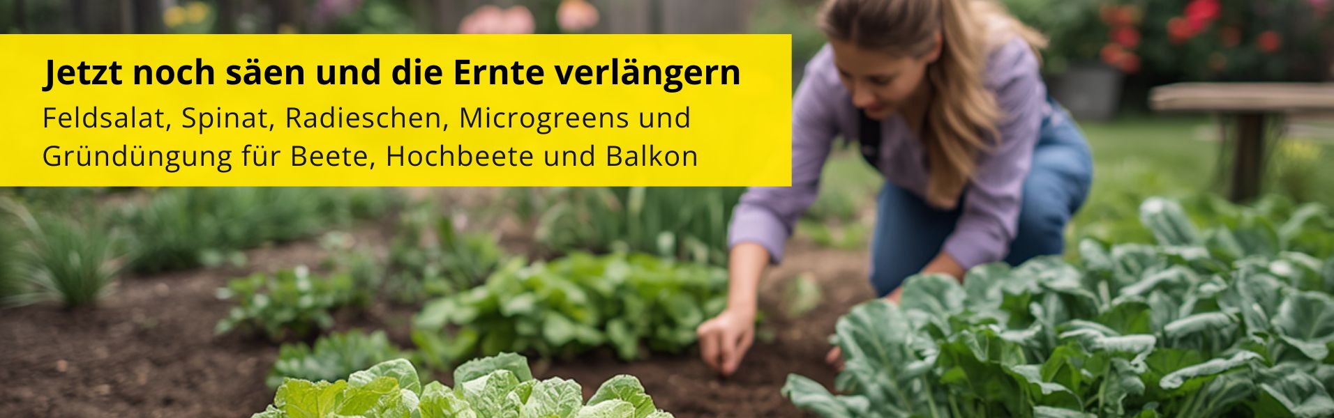 Jetzt noch säen und die Ernte verlängern