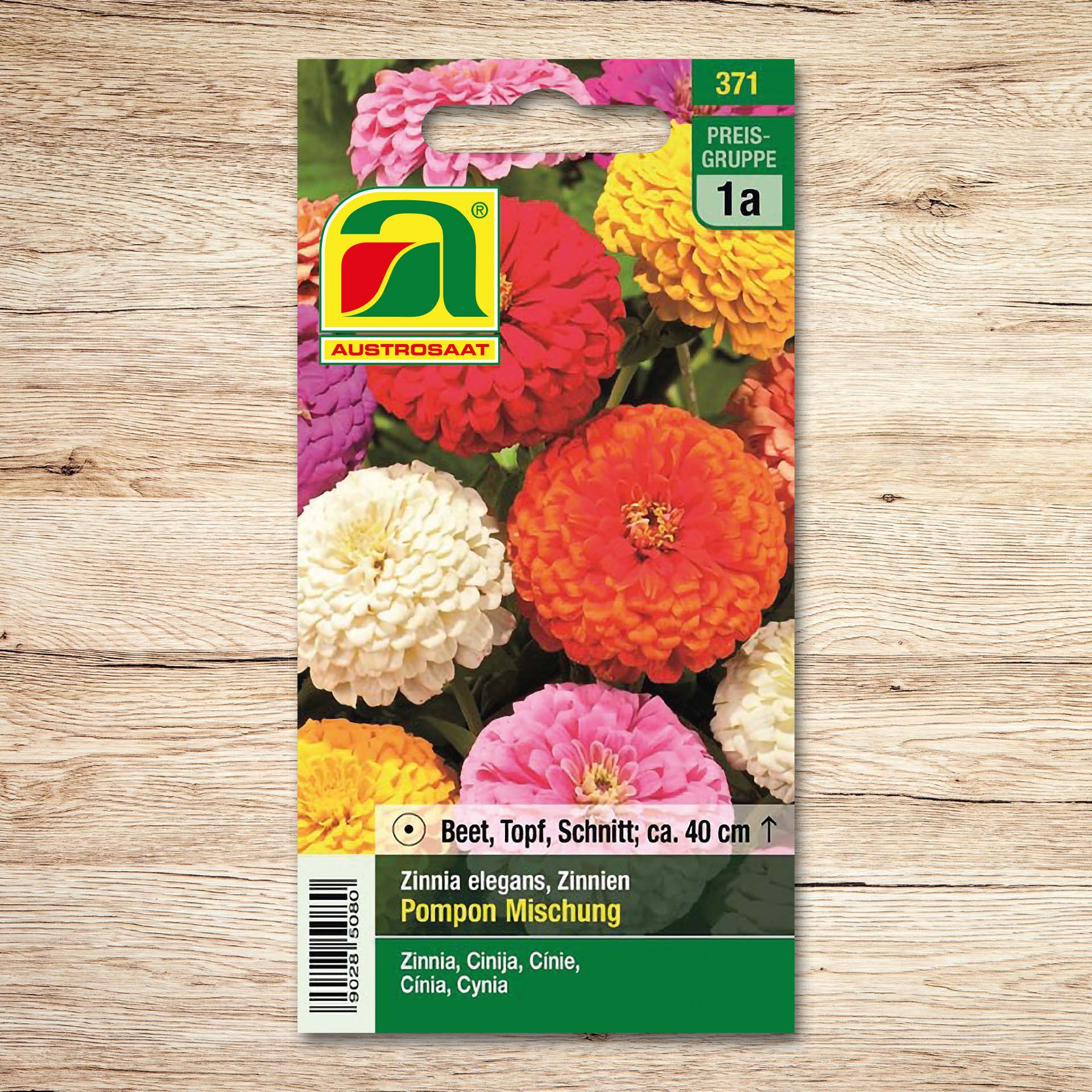 Zinnien Pompon Mischung