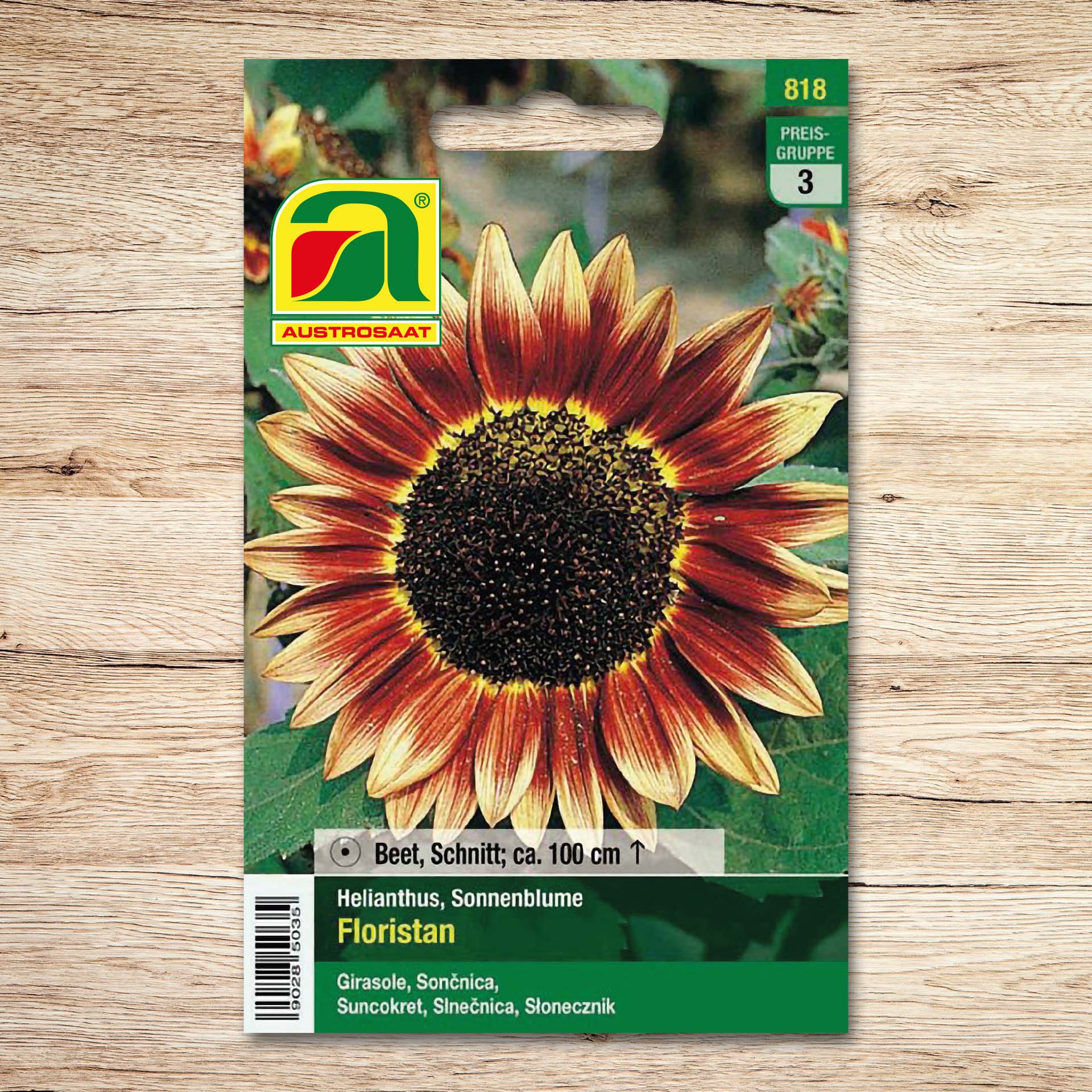 Sonnenblumen Floristan