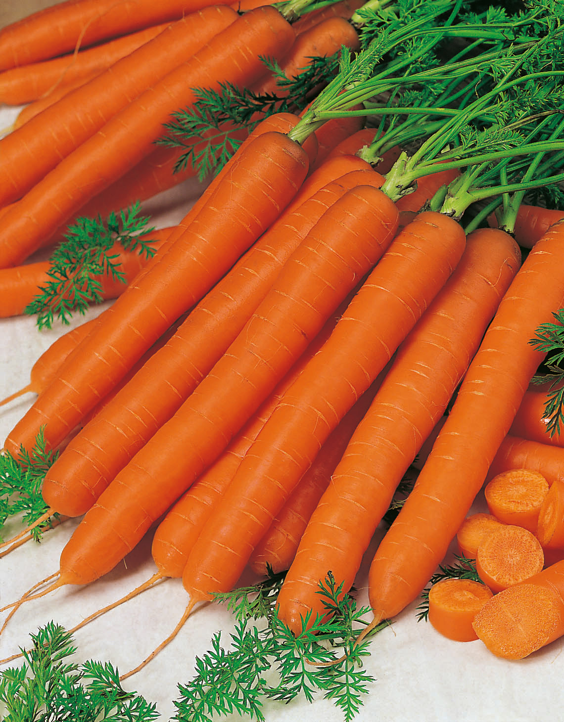 Nahaufnahme frischer Bundmöhren mit Grün, lange saftig-orange Karotten auf hellem Untergrund, einige Karottenscheiben sichtbar