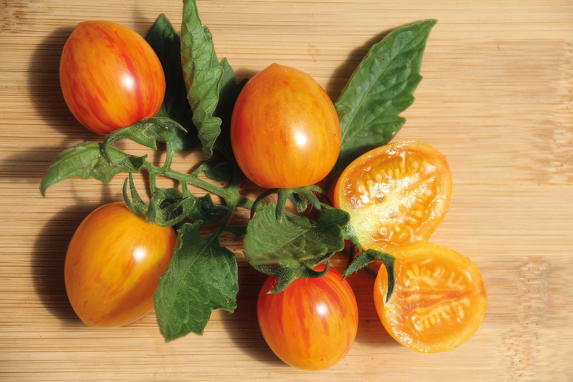 Tomate Sunrise Bumble Bee