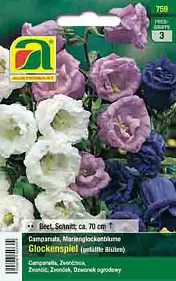 Samenpackung mit Abbildung von Campanula (Marienglockenblume) 'Glockenspiel' mit gefüllten weißen, rosa und blauen Blüten auf grünem Hintergrund