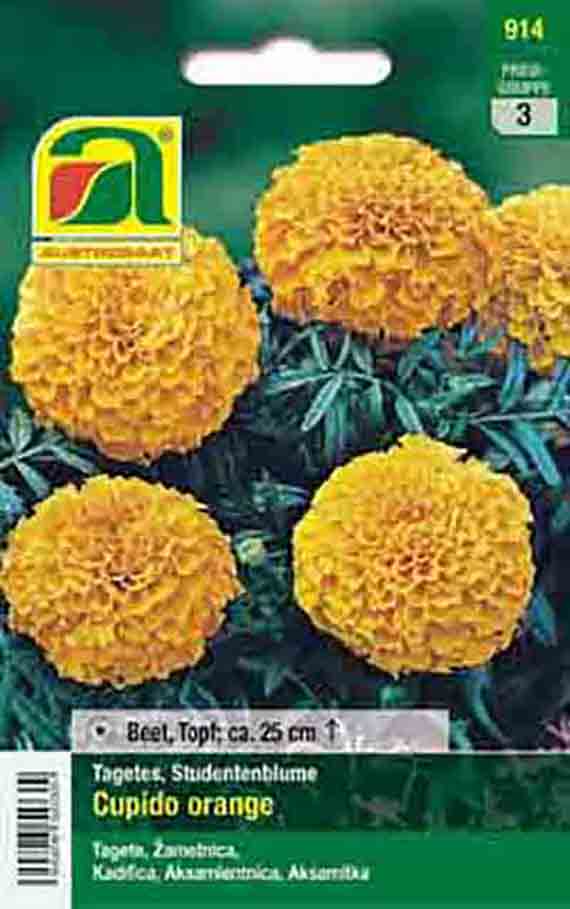 Saatgut-Packung für Tagetes 'Cupido Orange' mit großen, dicht gefüllten orangefarbenen, kugeligen Blüten; auf der Packung Hinweis: 'Beet, Topf: ca. 25 cm'