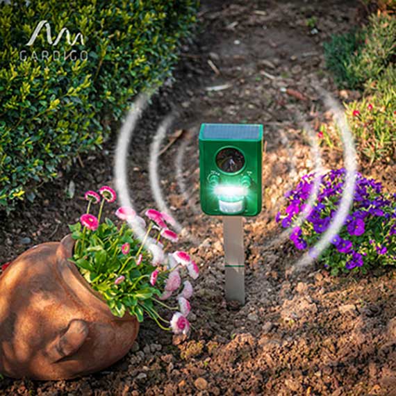 Solarbetriebener Ultraschall-Tiervertreiber mit LED auf Erdspieß im Blumenbeet
