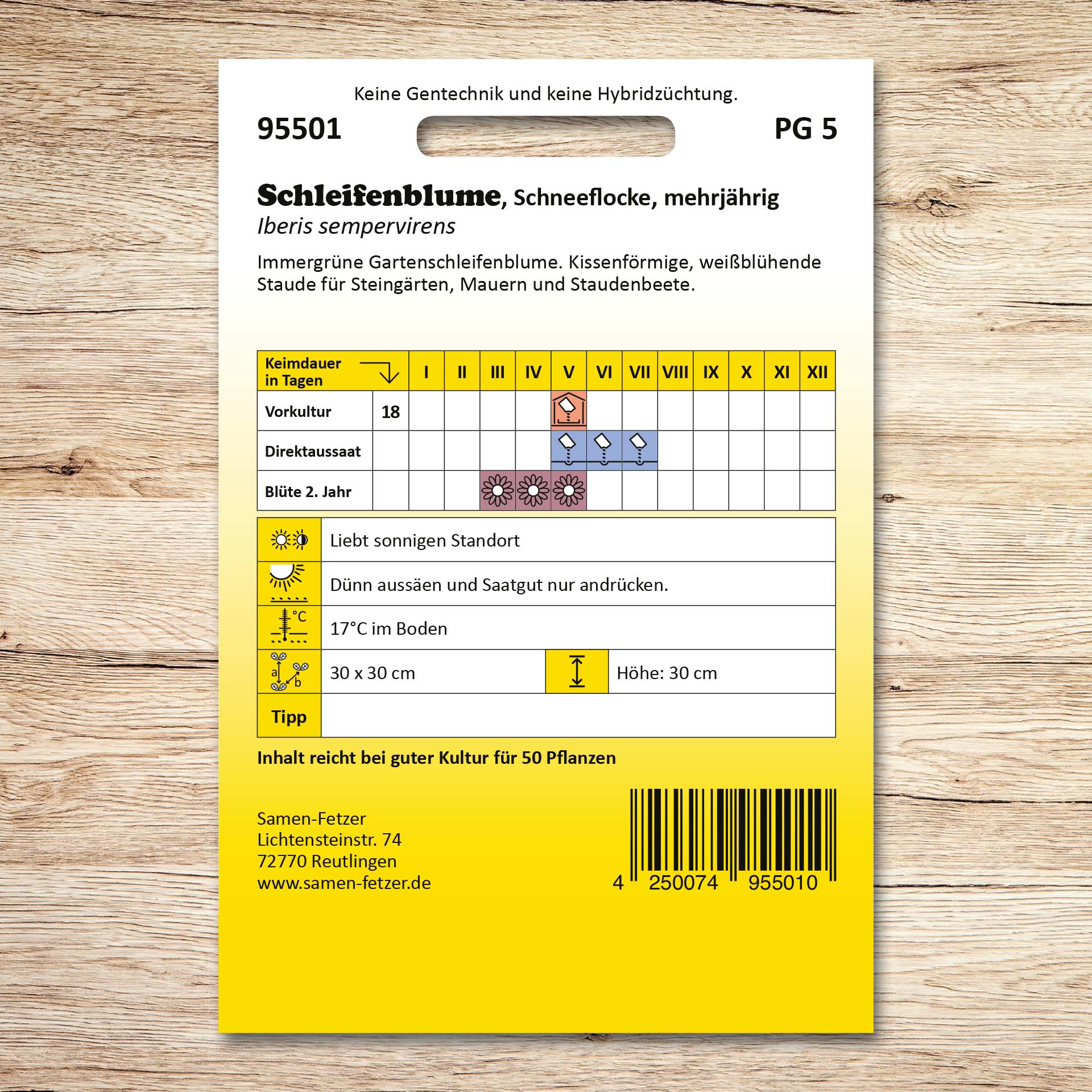 Schleifenblume Schneeflocke